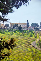 San Gimignano